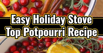 Christmas Stove Top Potpourri Gifts for Neighbors