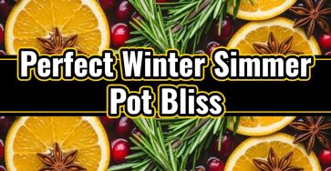 Cozy Cranberry Orange Stovetop Potpourri Simmer Pot