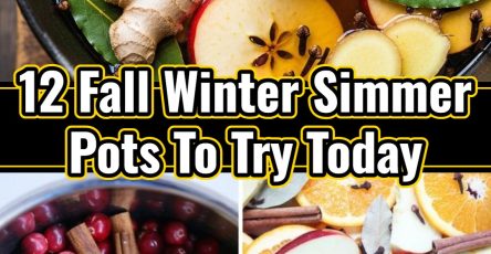 Easy Orange Apple Simmer Pots for Cozy Fall Winter Days