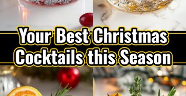 Festive Holiday Cocktails: Best Christmas Punch, Eggnog & Fun Shots