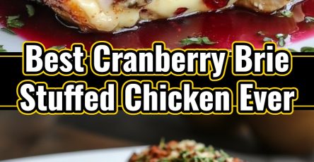 Impressive Cranberry Brie Stuffed Chicken for Festive December Dinners