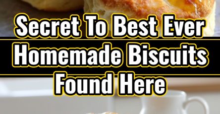 Best Ever Homemade Biscuits Easy Cast Iron Skillet Recipe
